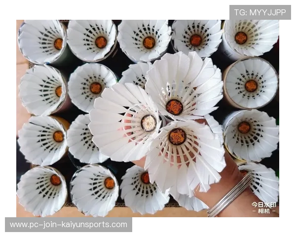 羽毛球高水平对抗训练：如何提升比赛智商？