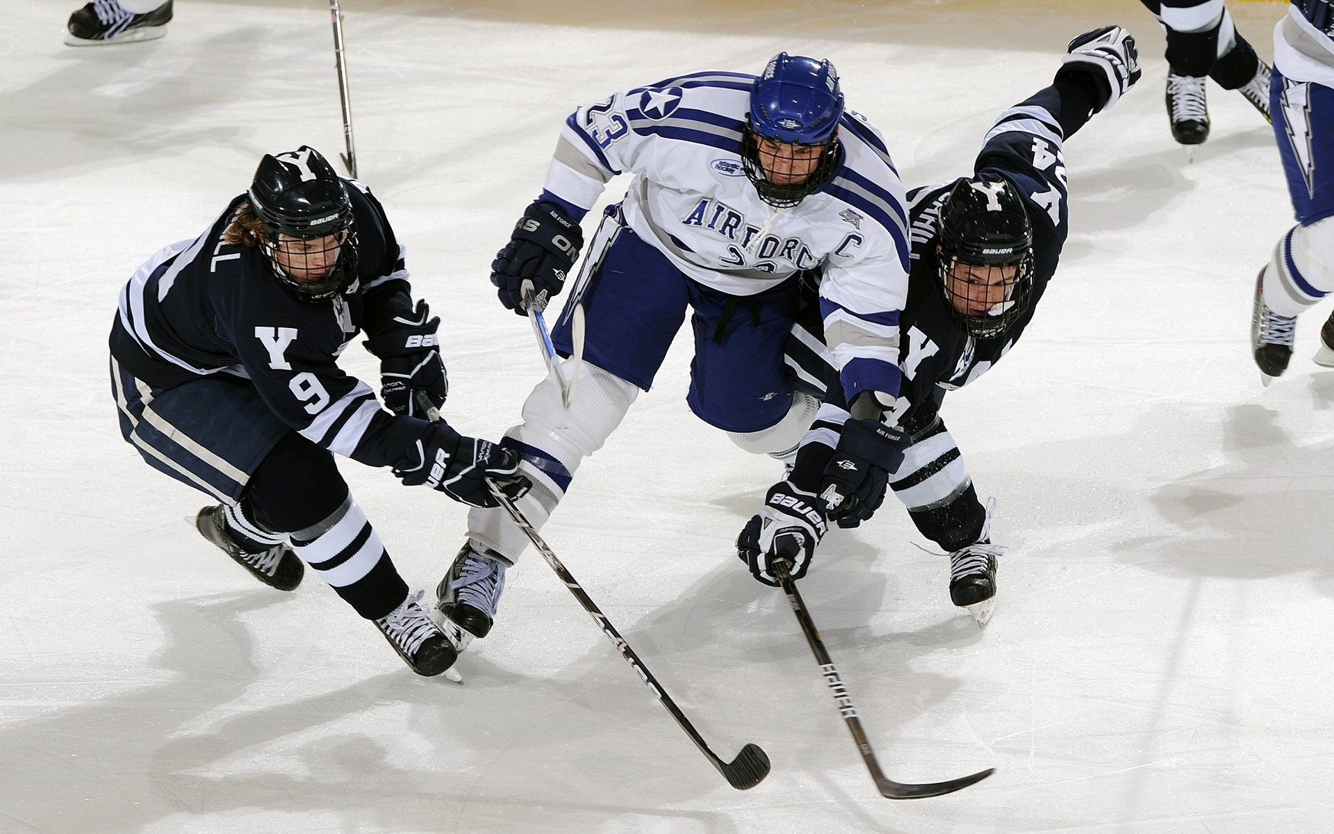 女足世界杯备战计划公布，2021年女足世界杯预选赛